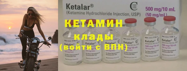 трава Бородино