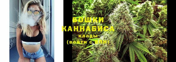 трава Бородино
